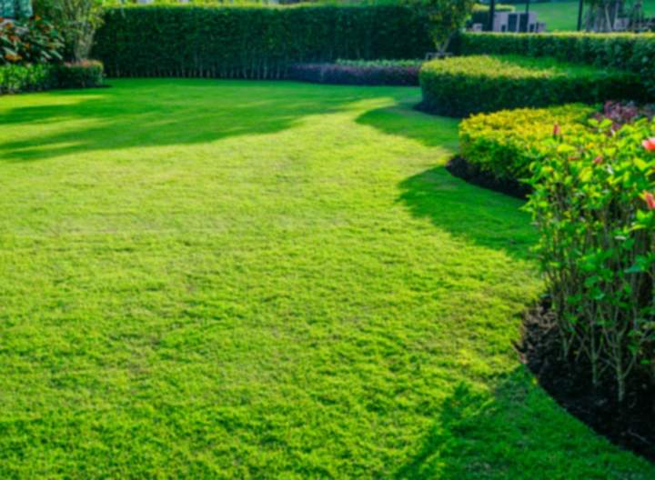 Entretien de jardin Wissous