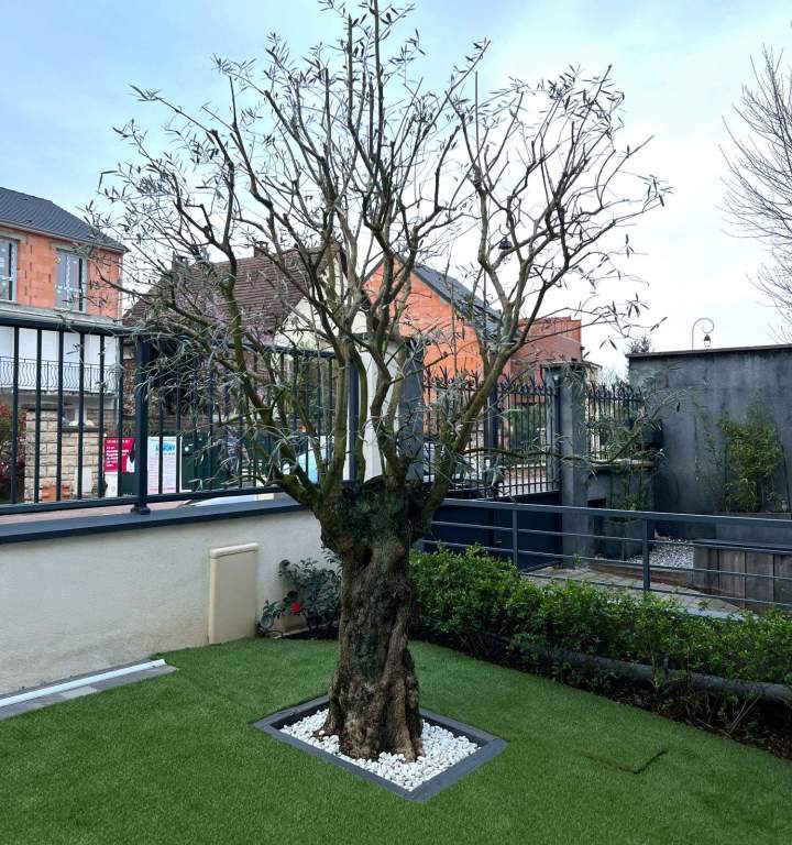 Création de jardin Wissous
