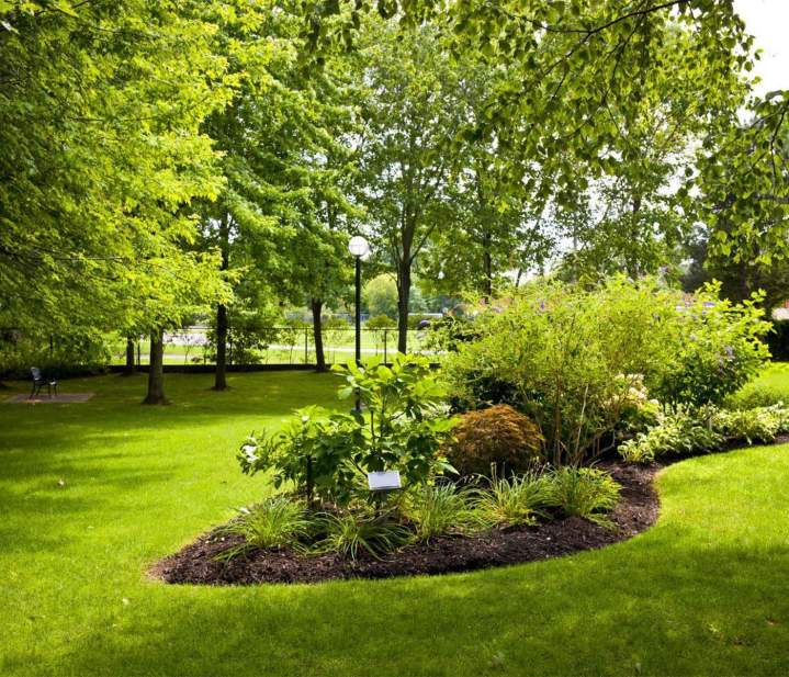 Entretien de jardin Wissous